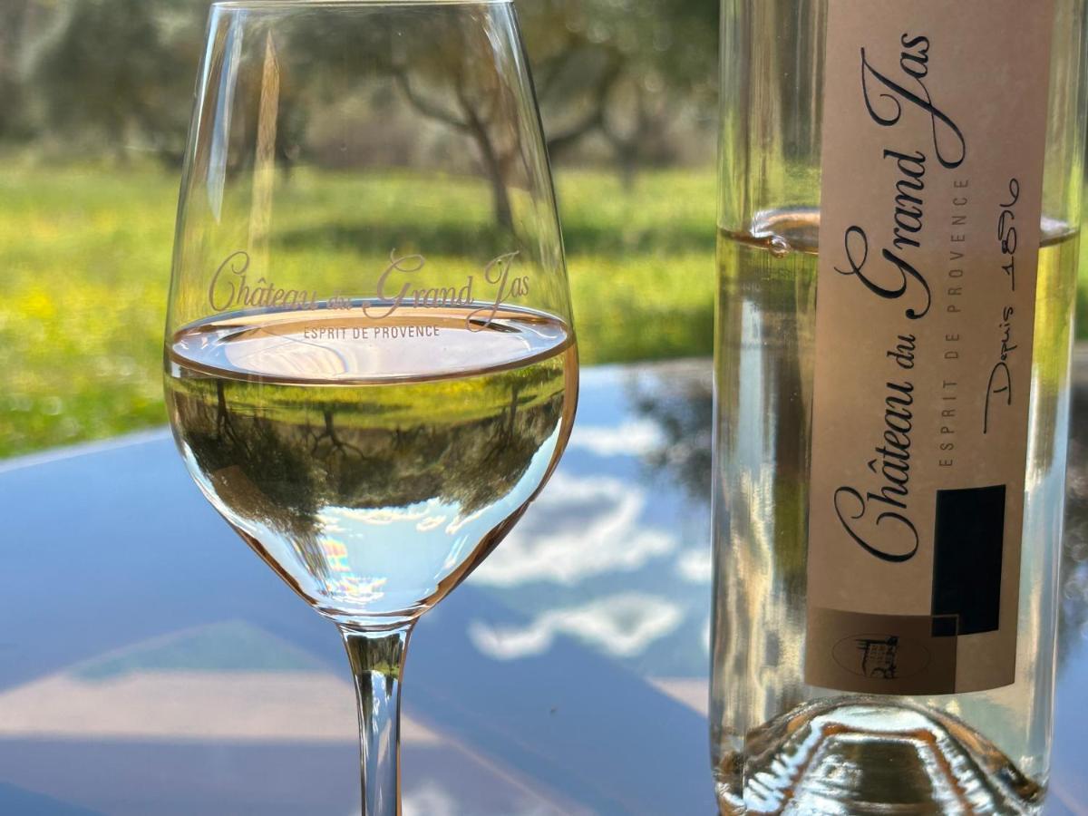 Chateau Du Grand Jas Entrecasteaux Bagian luar foto
