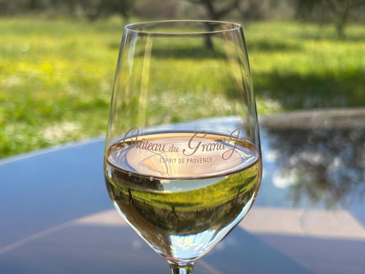 Chateau Du Grand Jas Entrecasteaux Bagian luar foto